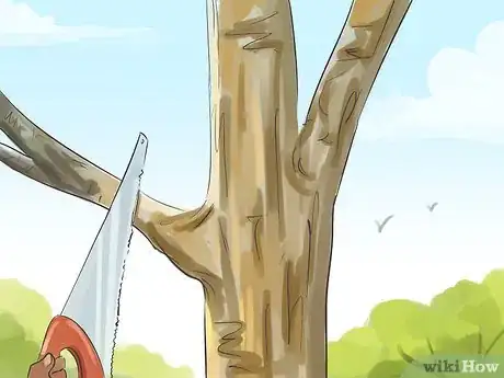 Image titled Prune a Crabapple Tree Step 4