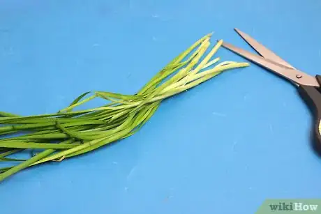 Image titled Freeze Dry Chives Step 1