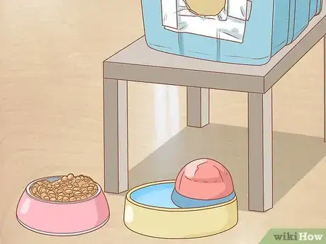 Image titled Protect Cats During Winter Step 6