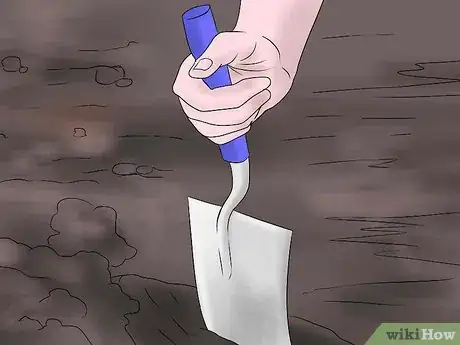 Image titled Keep Narcissus Bulbs After Flowering Step 8