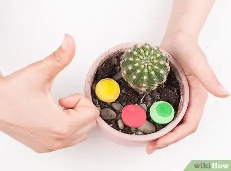 Image titled Pot a Spiny Cactus Without Getting Pricked Step 14