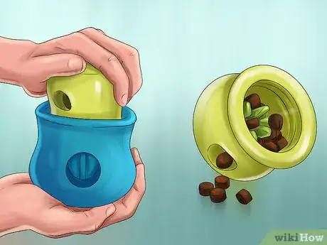 Image titled Feed a Cat Using Food Puzzles Step 7