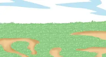 Save Water with a Sleeping Lawn