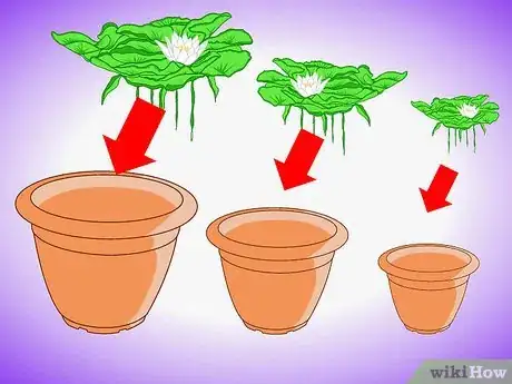 Image titled Plant Aquatic Plants Step 5