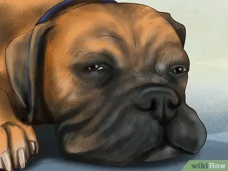 Image titled Know when to Stop Breeding a Male Dog Step 7