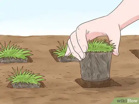 Image titled Plant Grass Plugs Step 7