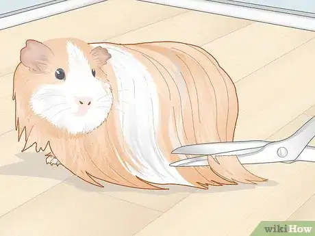 Image titled Prevent Your Guinea Pig from Becoming Sick Step 17