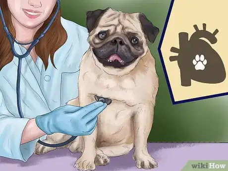 Image titled Know if Your Senior Dog Should Go on a Diet Step 14