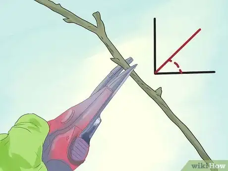 Image titled Prune Drift Roses Step 6