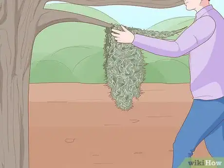 Image titled Grow Spanish Moss Step 6