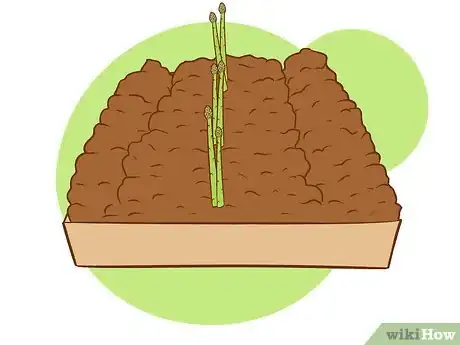 Image titled Plant Asparagus Step 21