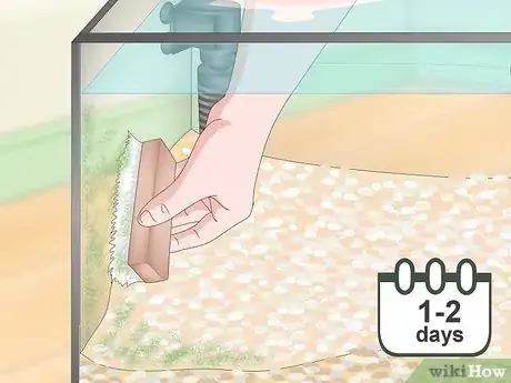 Image titled Build a Freshwater Predator Fish Aquarium Step 18