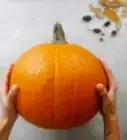 Preserve a Pumpkin