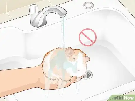 Image titled Prevent Your Guinea Pig from Becoming Sick Step 14