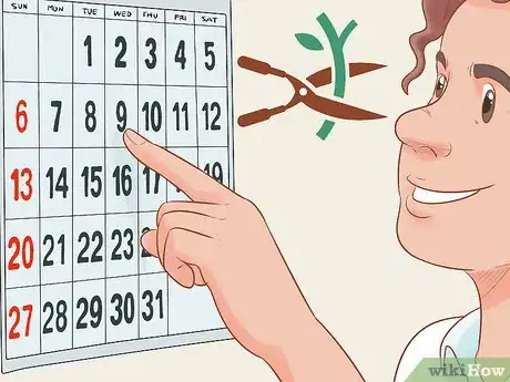 Image titled Prune Flowers Step 2