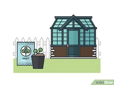 Image titled Grow Mint Indoors Step 1