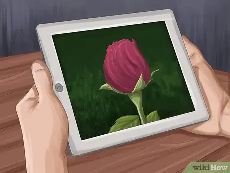 Image titled Become a Nature Photographer Step 15