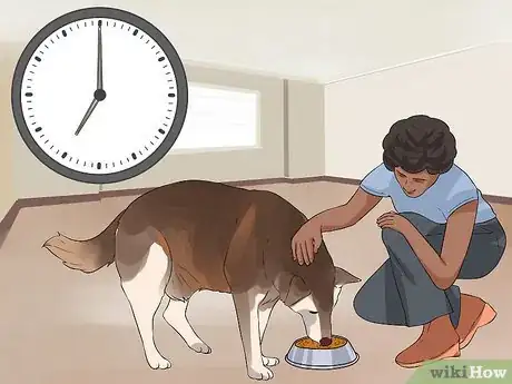 Image titled Help Dogs in Need Step 6