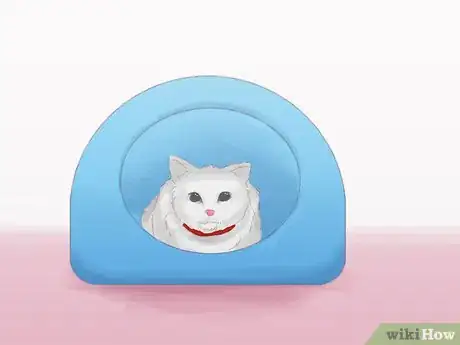 Image titled Keep a Cat from Running Away when It Is Moved Step 6