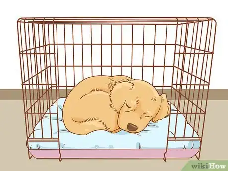 Image titled Train a Golden Retriever Step 1