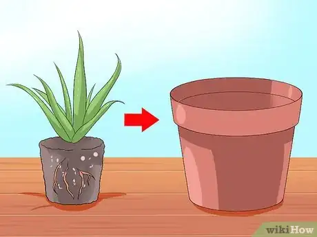 Image titled Care for Your Aloe Vera Plant Step 6