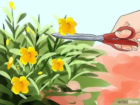 Image titled Grow Tarragon Step 8