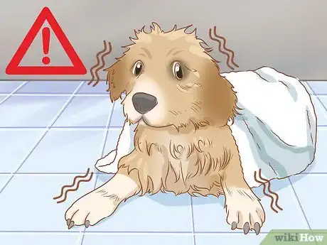 Image titled Treat Frostbite in Dogs Step 18