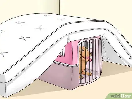 Image titled Keep Pets Safe During a Tornado Step 7