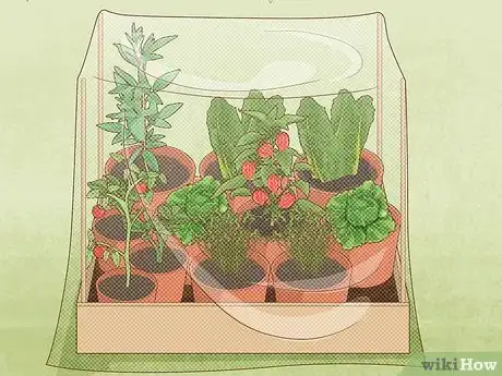 Image titled Garden During Coronavirus Step 19