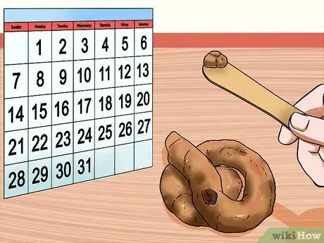 Image titled Treat Ascarids in Dogs Step 12