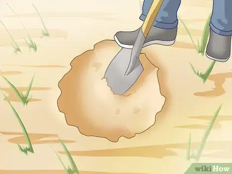 Image titled Trap a Rabbit Step 8