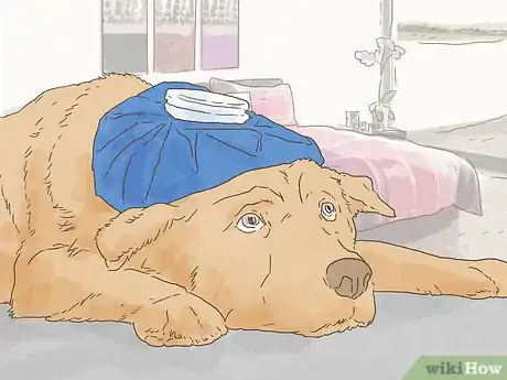 Image titled Include Your Dog in Your Will Step 7