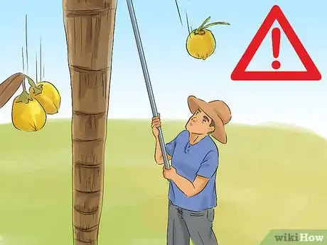 Image titled Harvest a Coconut Step 7