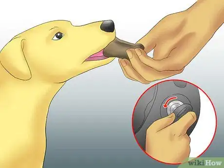 Image titled Travel by Car with a Fearful Dog Step 3