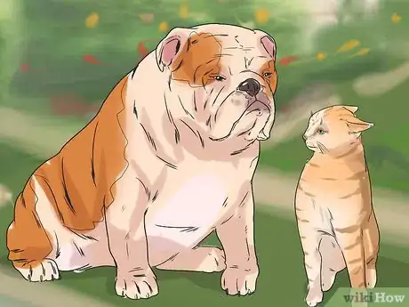 Image titled Get Used to a New Dog Step 6