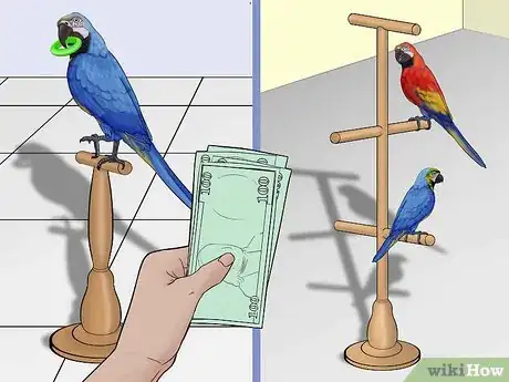 Image titled Calculate the Cost to Adopt a Parrot Step 7