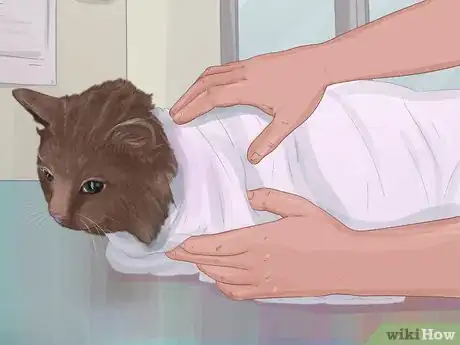 Image titled Capture an Angry or Upset Cat Step 7