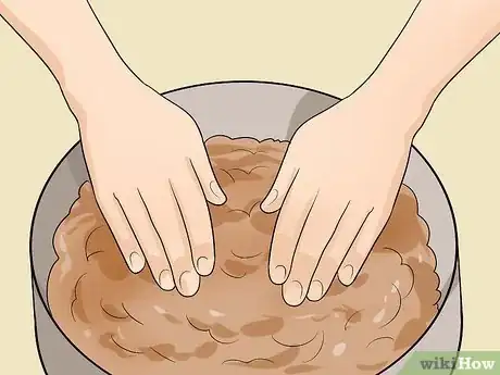 Image titled Plant Allium Bulbs Step 13