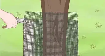 Protect Fruit Trees from Animals