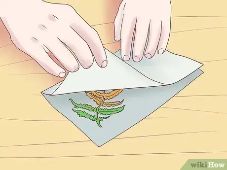 Image titled Grow Ferns Step 1