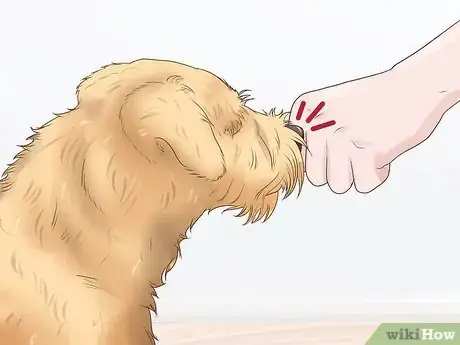 Image titled Meet Someone's New Dog Step 7