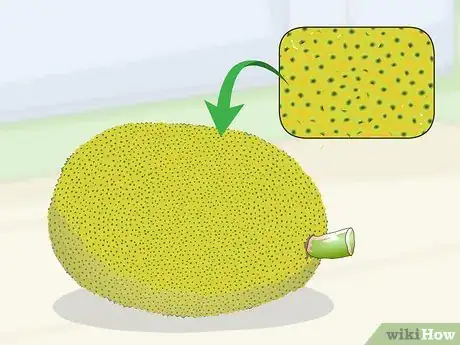 Image titled Buy Jackfruit Step 8