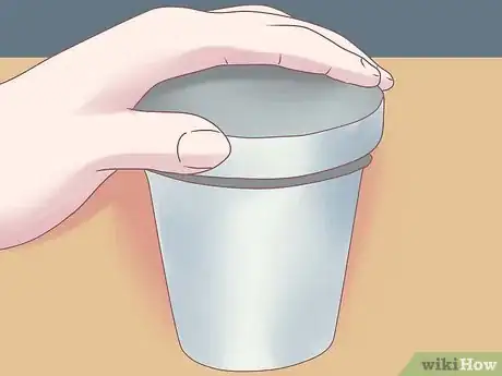 Image titled Grow Ferns Step 8