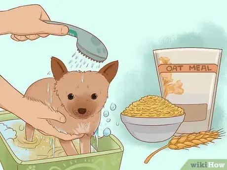 Image titled Treat an Insect Bite on a Dog Step 5