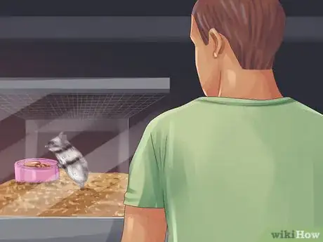 Image titled Choose a Healthy Hamster Step 5