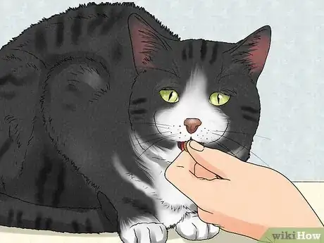 Image titled Train a Deaf Pet Step 4