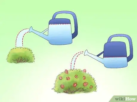 Image titled Plant Evergreen Shrubs Step 15