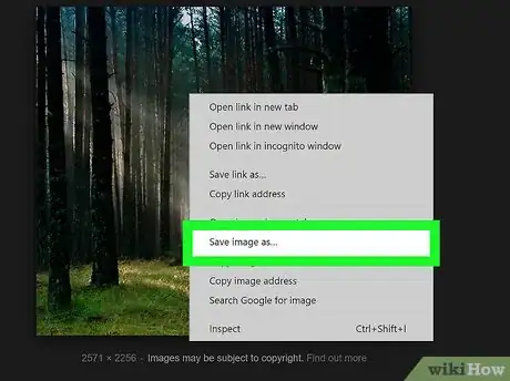 Image titled Search by Image Step 10