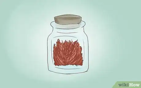 Image titled Do White Magic Step 6