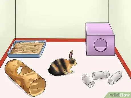 Image titled Care for Harlequin Rabbits Step 2